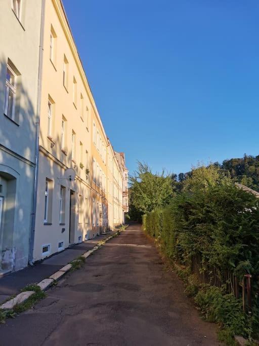 Ubytovani Ester - Utulny Byt V Lazenskem Centru Karlovych Varu Se Zahradkou Apartment การ์โลวีวารี ภายนอก รูปภาพ