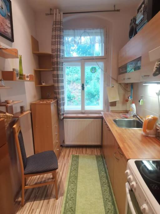 Ubytovani Ester - Utulny Byt V Lazenskem Centru Karlovych Varu Se Zahradkou Apartment การ์โลวีวารี ภายนอก รูปภาพ