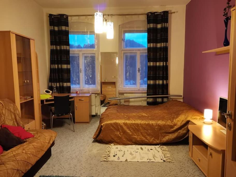 Ubytovani Ester - Utulny Byt V Lazenskem Centru Karlovych Varu Se Zahradkou Apartment การ์โลวีวารี ภายนอก รูปภาพ