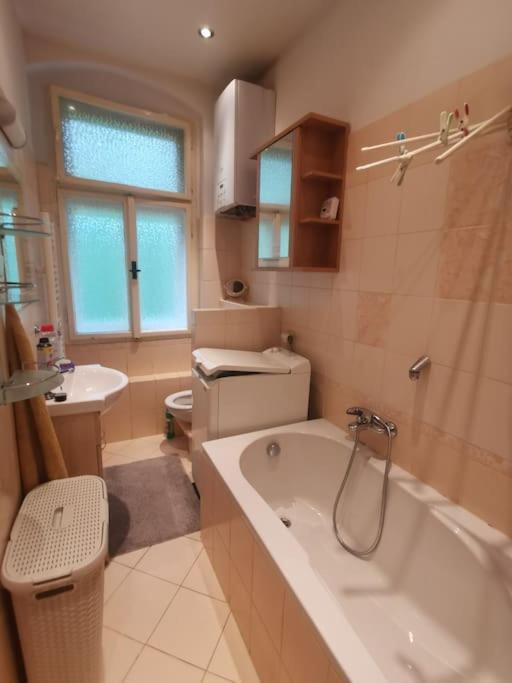 Ubytovani Ester - Utulny Byt V Lazenskem Centru Karlovych Varu Se Zahradkou Apartment การ์โลวีวารี ภายนอก รูปภาพ